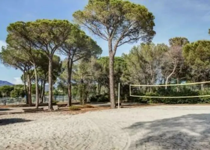Appartement De 3 Pieces En Residence Avec Piscine