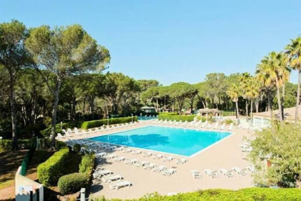 Apartment De 3 Pieces En Avec Piscine Saint-Raphael (Var)